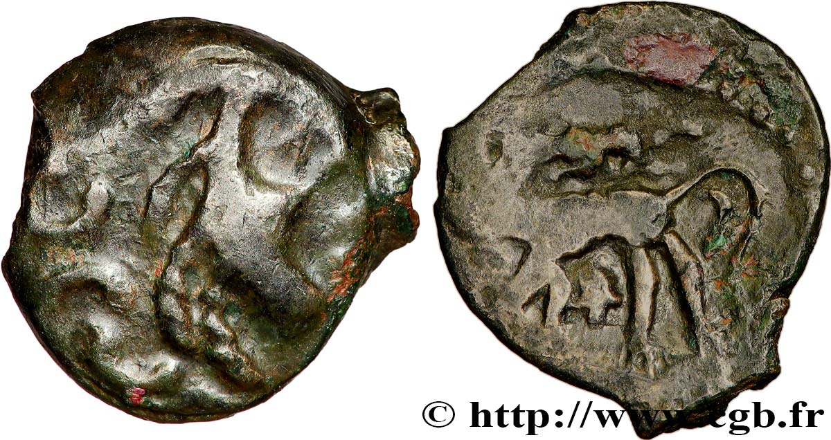GALLIA - CARNUTES (Región de la Beauce) Bronze au loup, tête à droite MBC