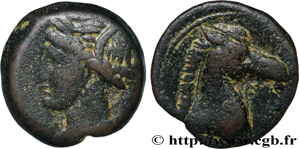 ZEUGITANIA - CARTAGE Shekel BB