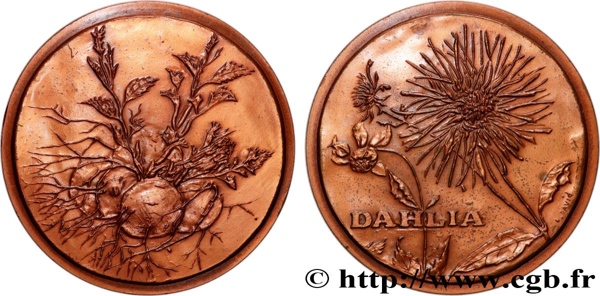 V REPUBLIC Médaille, Dahlia, n°14 AU